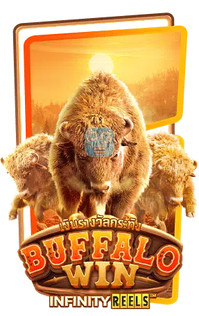 Buffalo-win
