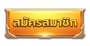 AnyConv.com ปุ่มสมัครสมาชิก 2